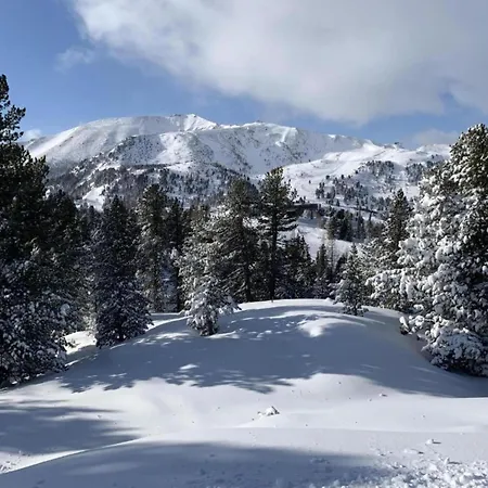 Geraeumige In Mit Sauna