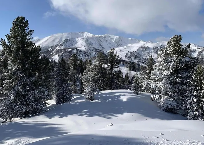 Geraeumige In Mit Sauna
