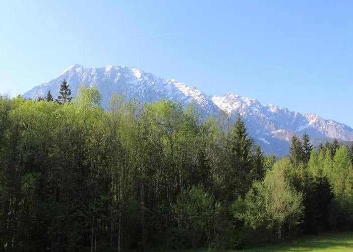 Geraeumige In Mit Sauna 公寓